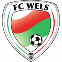 ФК Велс - Logo