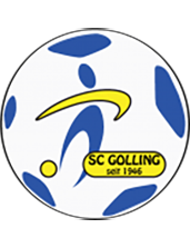Голинг - Logo