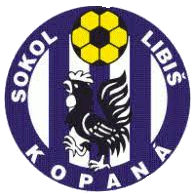 Sokol Libis - Logo