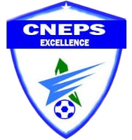 CNEPS Excellence - Logo