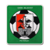 Mladost Petrinja - Logo