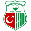 Ceyhanspor - Logo
