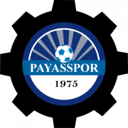 Паясспор - Logo