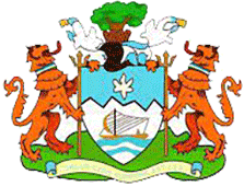 Freetown City - Logo