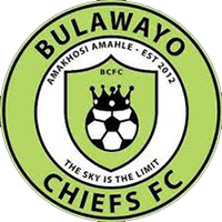 Bulawayo Chiefs - Logo