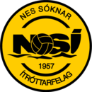 NSÍ II - Logo