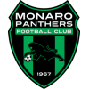 Monaro Panthers - Logo