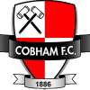 Cobham - Logo