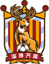 Zibo Qisheng - Logo
