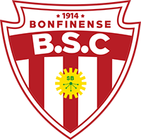 Ботафого БА - Logo