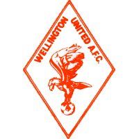 Wellington United  logo
