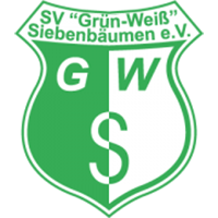 ГВ Зибенбаумен - Logo