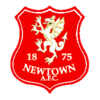 Newtown AFC - Logo