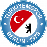 Turkiyemspor W - Logo