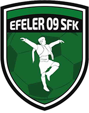 Efeler 09 Spor - Logo