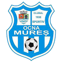 Ocna Mures - Logo