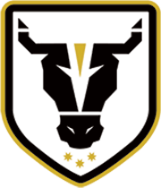 Bulls Academy - Logo