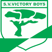 Виктори Бойз - Logo