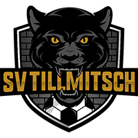 Тильмич - Logo
