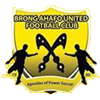 Brong Ahofu United - Logo