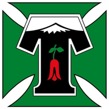 Deportes Temuco - Logo