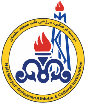Naft M. Soleyman - Logo