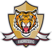 Tigres FC (COL) - Logo
