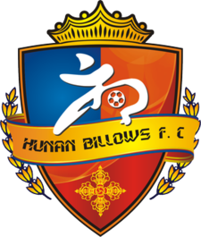 Hunan Xiangtao - Logo