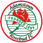Adamstown FC  logo