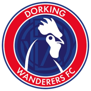 Dorking Wanderers - Logo