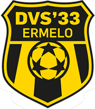 DVS 33 - Logo