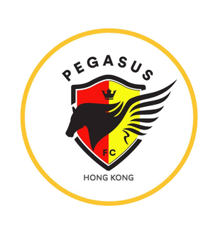 HK Pegasus - Logo