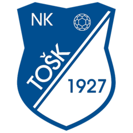 ТОШК Тешан - Logo