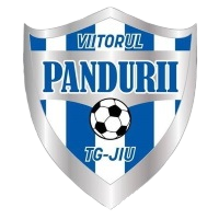 Viitorul Târgu Jiu - Logo