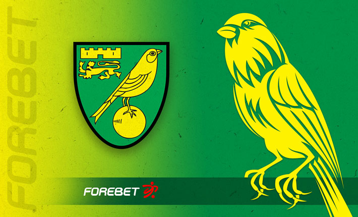 2021/22 Premier League Preview – Norwich City