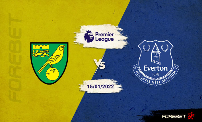 Norwich Struggles to Continue at Home Against Everton