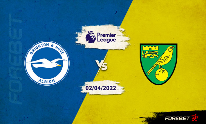 Norwich City’s Desperate Bid to Avoid the Drop to Take Another Blow at Brighton & Hove Albion