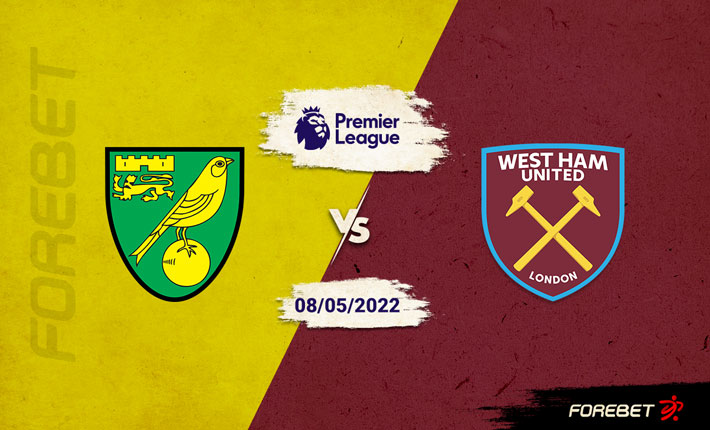 Norwich City and West Ham United Need to Pick Themselves Up Following Disappointments