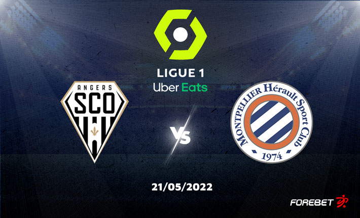 Angers and Montpellier Meet in Final Day in Ligue 1
