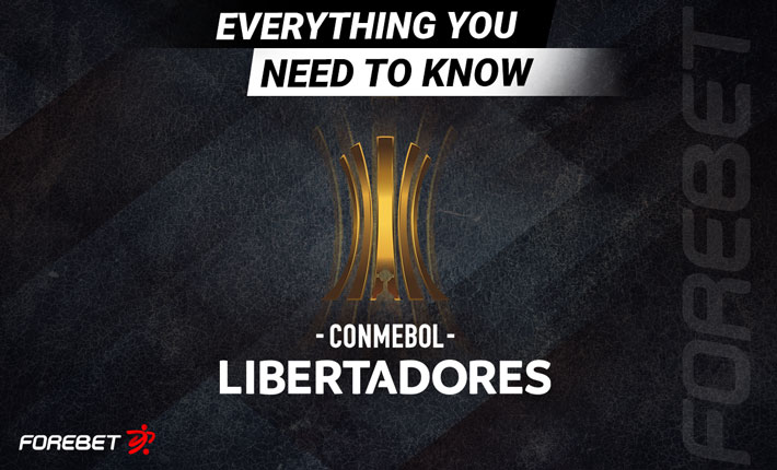 Everything You Need to Know About the Copa Libertadores