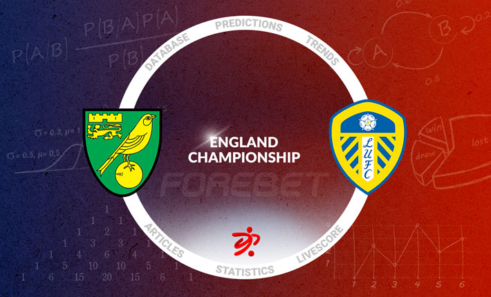 Norwich City and Leeds United Clash with Place in the Premier League on the Line