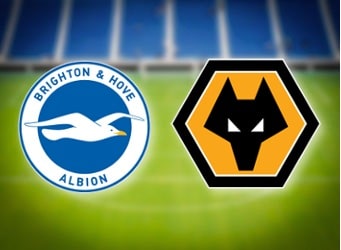 Wolves Hope to Bounce Back After Defeat